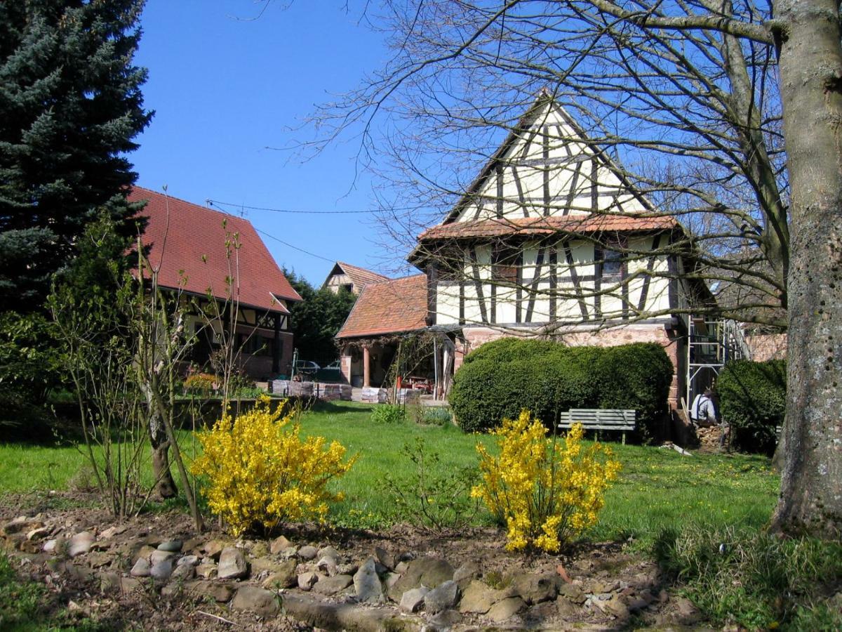 Le Gite Des Ecureuils Schalkendorf Exterior photo